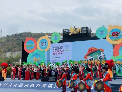 四川鄉村文化魅力 雅安漢源開啟互聯網文化新篇章