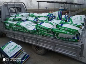 非瘟時代，裝卸品質 守護養殖安全的堅實防線